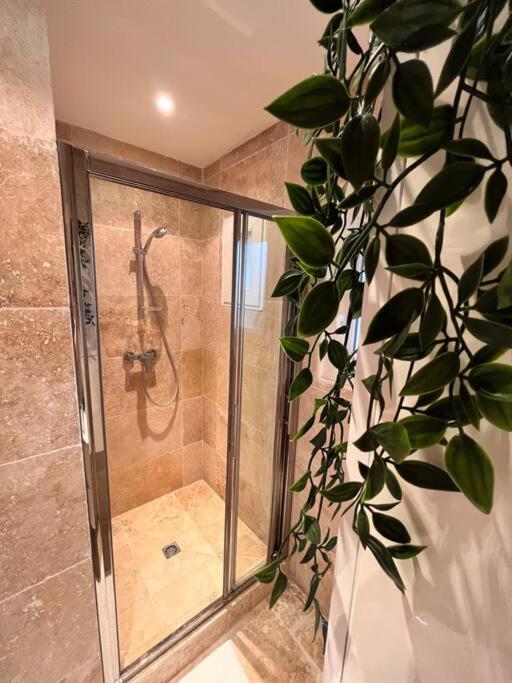 Grand Appartement 3 Chambres A 300M De La Plage Sainte-Maxime Exteriör bild